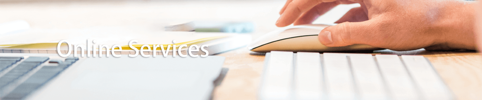 金年会·jinnian(中国区)官方网站